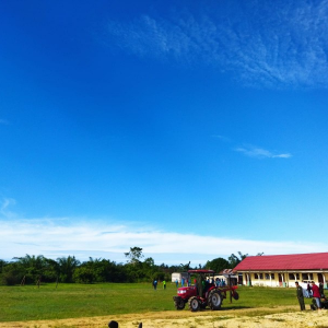 Alat Perkebunan
